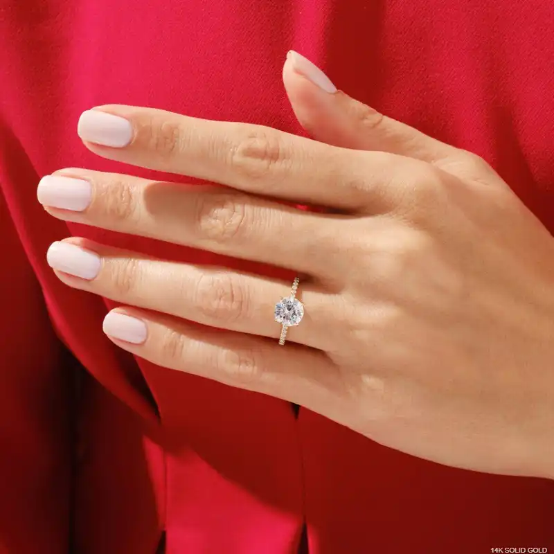 /public/photos/live/88 (1).webp